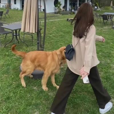 热播电影